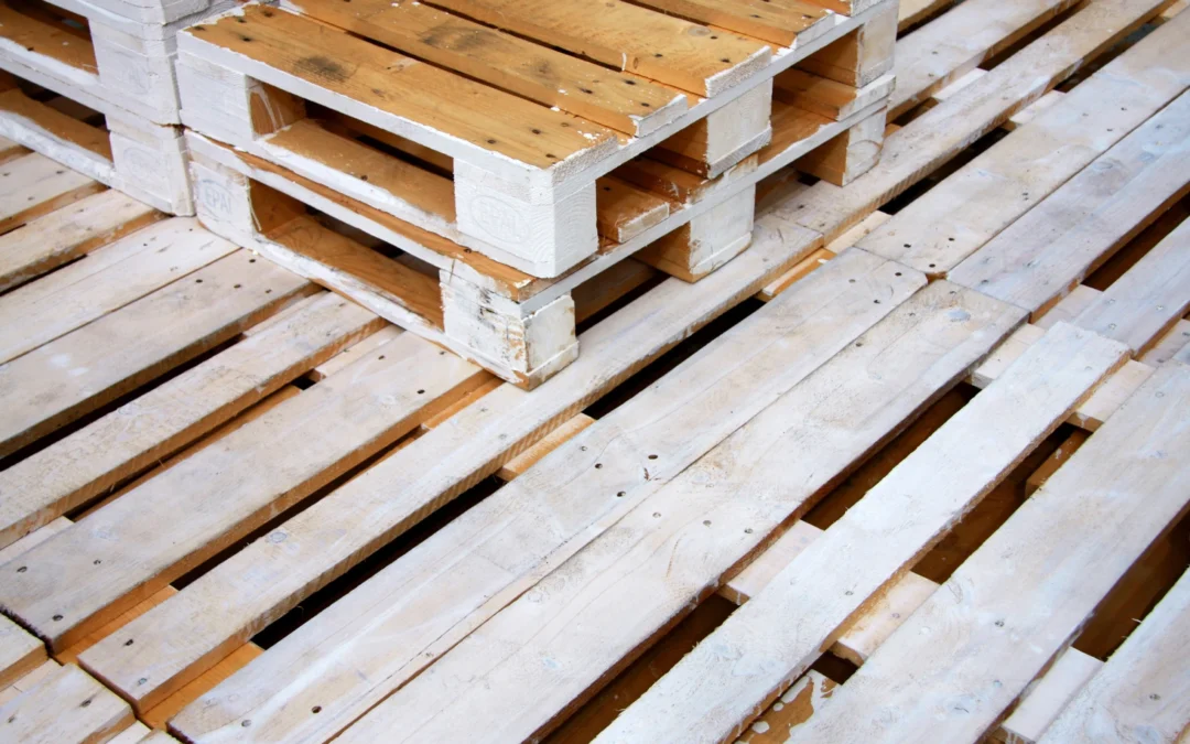 How to Detect & Prevent Mould in Wooden Shipping Pallets